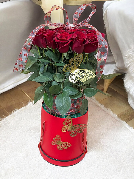 Photoroom_20250118_113938
